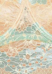 Clovia Floral Patterned Bralette in Lace