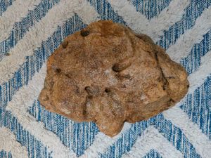 Dragon Stone for aquascaping