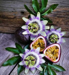 Exotic Passion Flower seeds( 10 seeds)