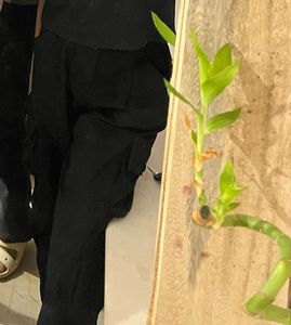 Black Cargo Pants