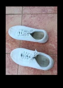 Classic White Canvas Shoes Size 8