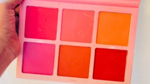 Blush Palette - Vibrant Shades