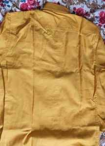 Men's Long Sleeve Casual Shirts (Set of 2)