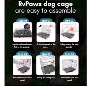 dog and cat cage