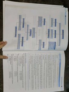 Xamidea  Social Science (CBSE Class X)