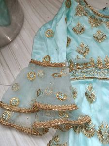 Elegant Lehenga Choli Set