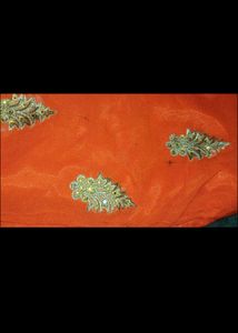 Sharara Suit