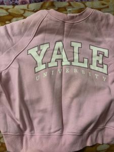 Pink Sweatshirt