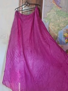 Vibrant Pink Ethnic Skirt