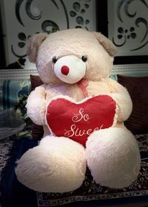 Cute Teddy Bear Plush Toy