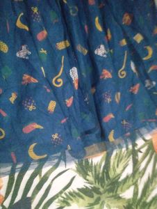 Cute Blue Tulle Skirt with Fun Prints
