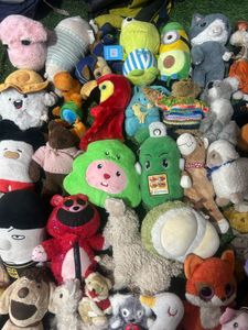 Mega Plushie Bundle (50 Pack)