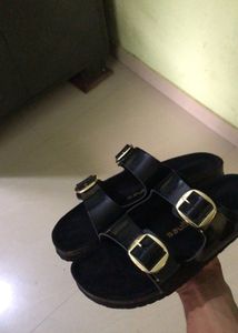 Dsigns Jelly Black Buckle