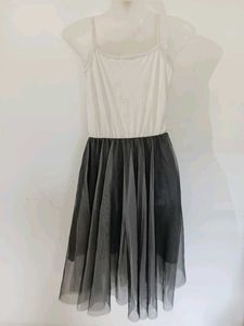 Chic Two-Tone Tulle Dress