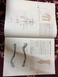 Cunningham's Manual of Practical Anatomy
