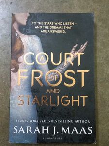 Court of Frost and Starlight