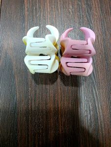 Plumeria Flower Matte Hair Clips - Set of 2