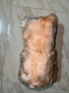 Cute Teddy Bear Plush Toy