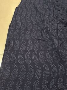 Elegant Blue Chikankari Kurta
