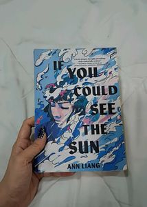 If You Could See the Sun