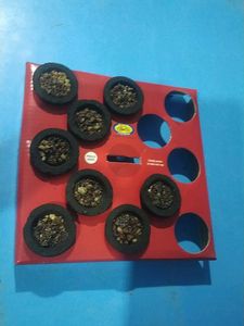 OGU Pack Of 24 Pcs. Sambrani Loban Dhoop Cups