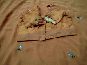 Y2k Elegant heavy Peach hand work Saree