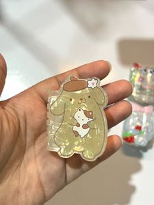 Sanrio hair clip combo
