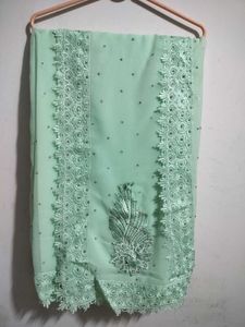 Stunning Pastel Green Embellished Saree