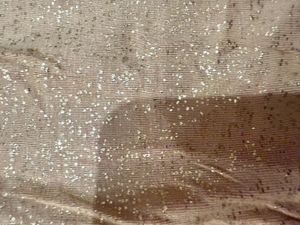 Sparkling palazzo pant