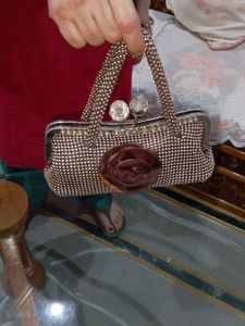 Sparkling Embellished Clutch