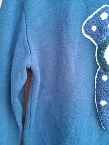 Used Sweatshirt