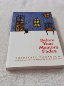 Before Your Memory Fades