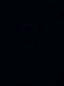 Test T1