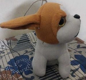 It's Toy Dog