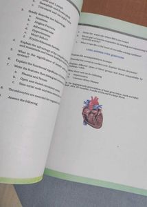 Biology Exemplar Problems Class XI &amp; XII