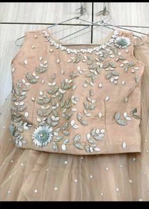 NEW Embellished Lehenga Set
