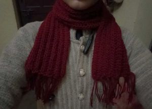 Mikasa Stylish Red Knit Scarf