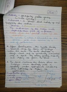 Class 10th Bio &amp; Chemistry Loose Notes for Rev.