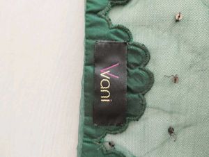 Elegant Green v vani vats anarkali