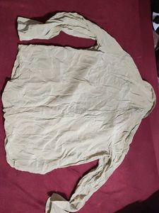 Ralph Lauren Classic Shirt (size 32)
