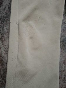 pant