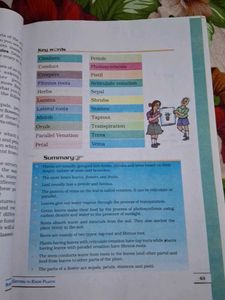 Class 6 Science &amp; Math Textbooks