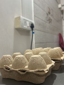 Cardboard Egg Cartons