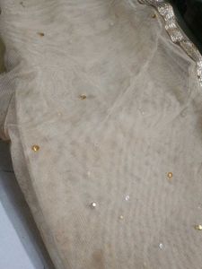 Embellished Net Dupatta