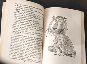 5 story books with illustrations for children