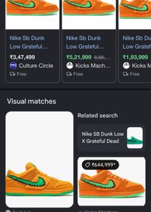 Nike sb dunk shoes