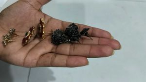 Assorted Earrings Set
