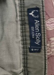 Allen Solly Olive Green Casual Pant