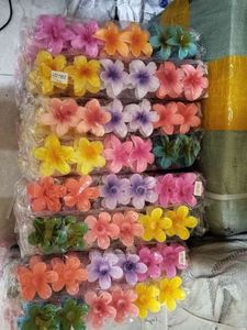 Beautiful Hair Accessories Pack Of 4