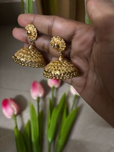 Elegant One gram Gold Jhumka Earrings